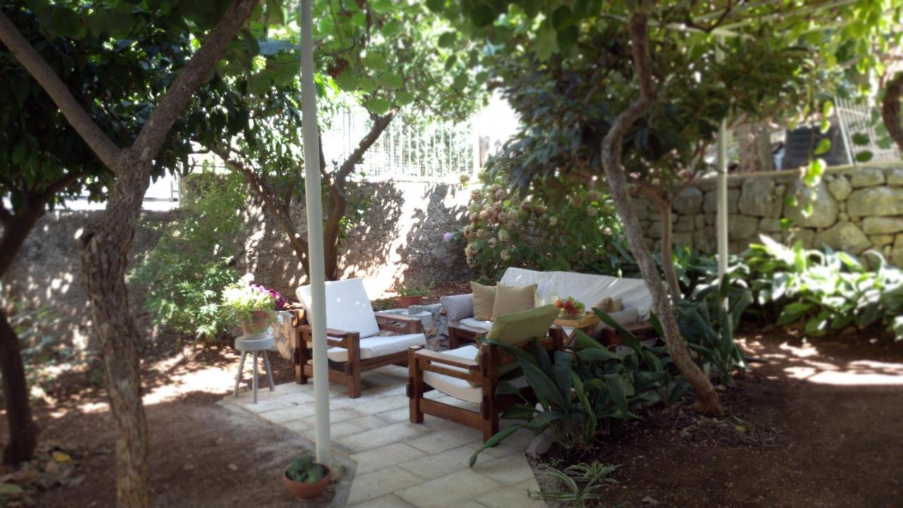 Aspidistra Shadow Lägenhet Dubrovnik Exteriör bild