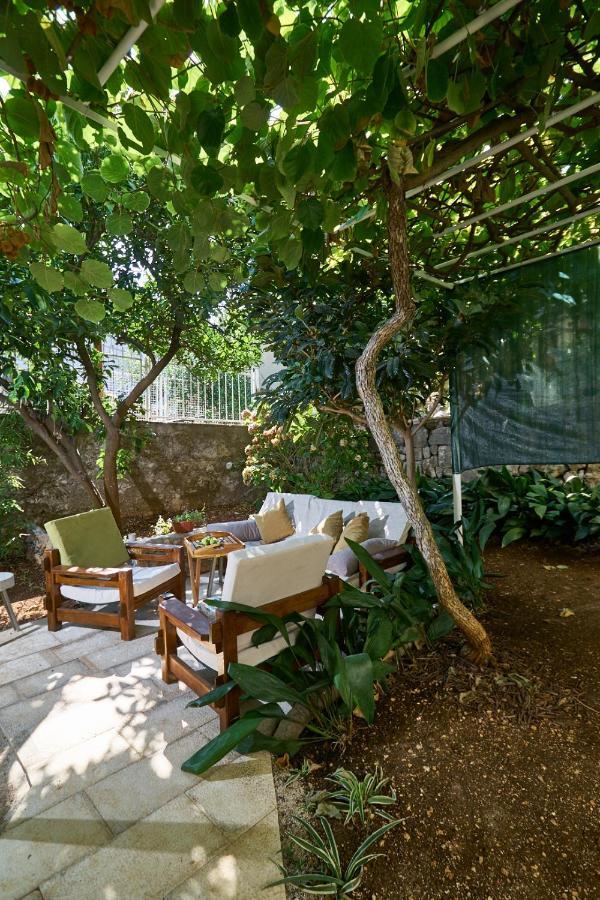 Aspidistra Shadow Lägenhet Dubrovnik Exteriör bild