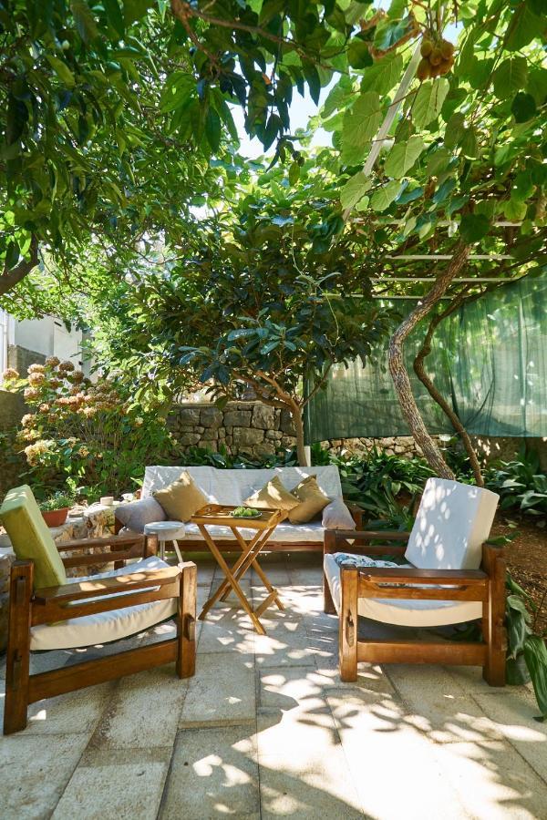 Aspidistra Shadow Lägenhet Dubrovnik Exteriör bild