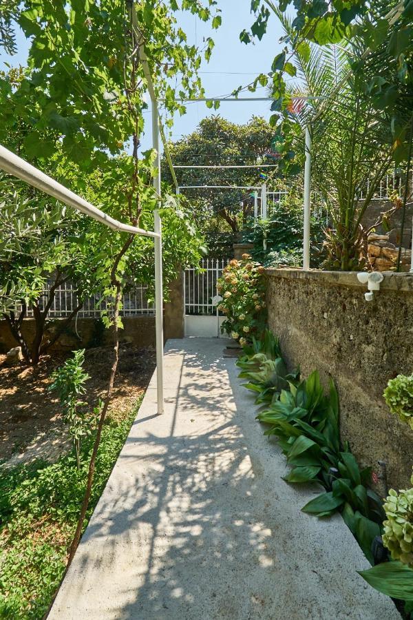 Aspidistra Shadow Lägenhet Dubrovnik Exteriör bild