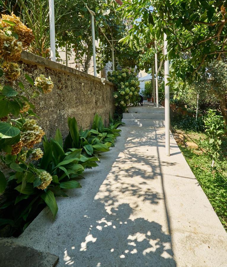 Aspidistra Shadow Lägenhet Dubrovnik Exteriör bild