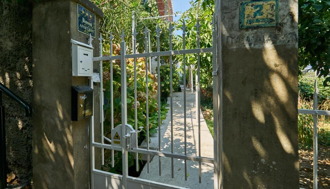 Aspidistra Shadow Lägenhet Dubrovnik Exteriör bild